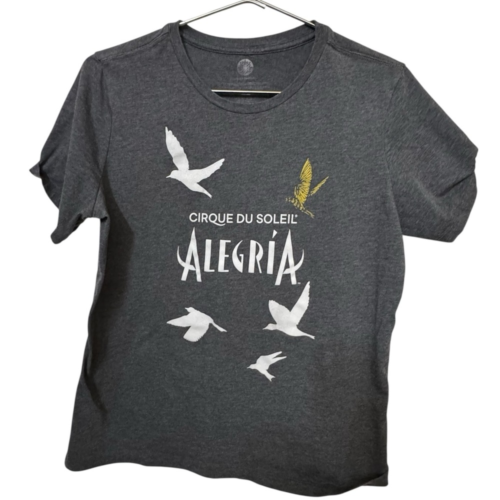 Gray Cirque du Soleil Alegría Women’s L T-Shirt MINTY